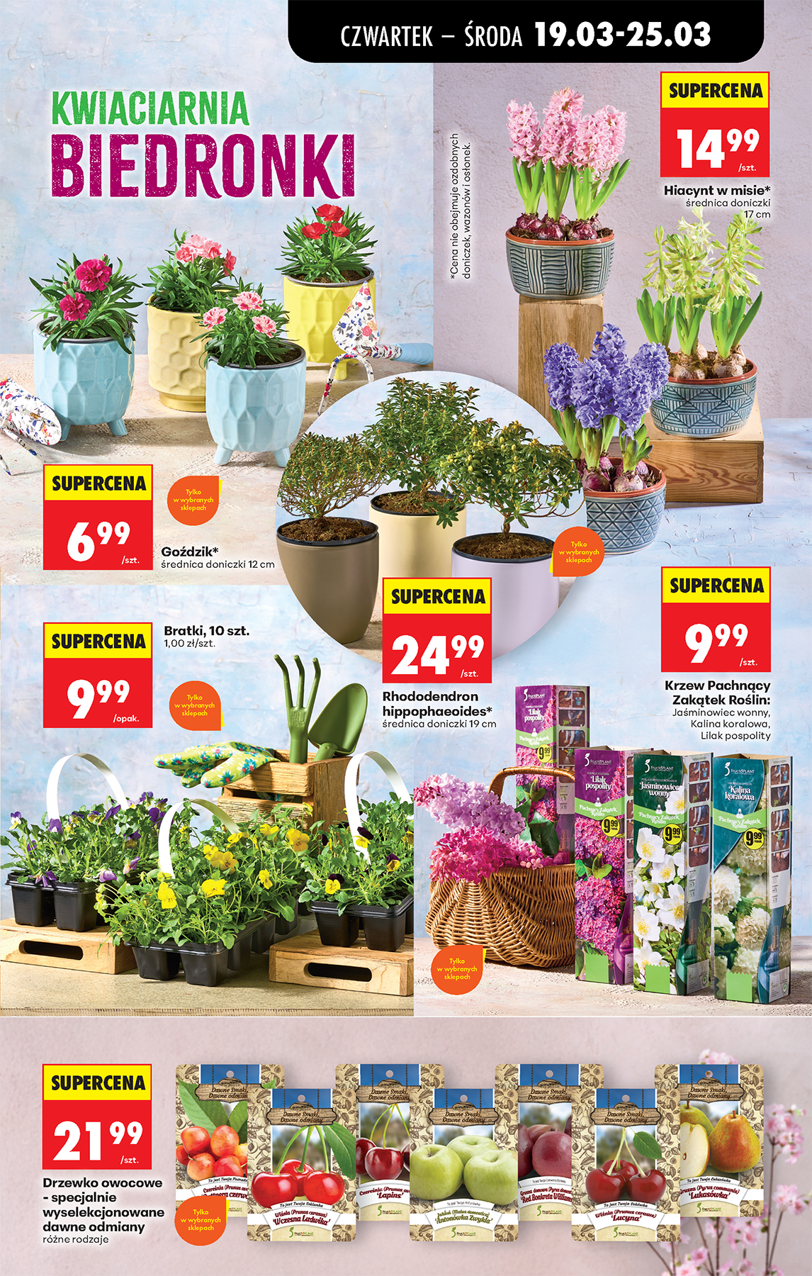 Strona https://images.biedronka.cloud/api/v1/cdn-cgi/r2/leaflet-prod/images/2026_ROK/2026_FOOD/2026_FOOD_T12/2026_FOOD_T12B/2026_FOOD_T12B_PODSTAWA/2026_FOOD_T12_B_PODSTAWA_P63_he6ax94fsp.png