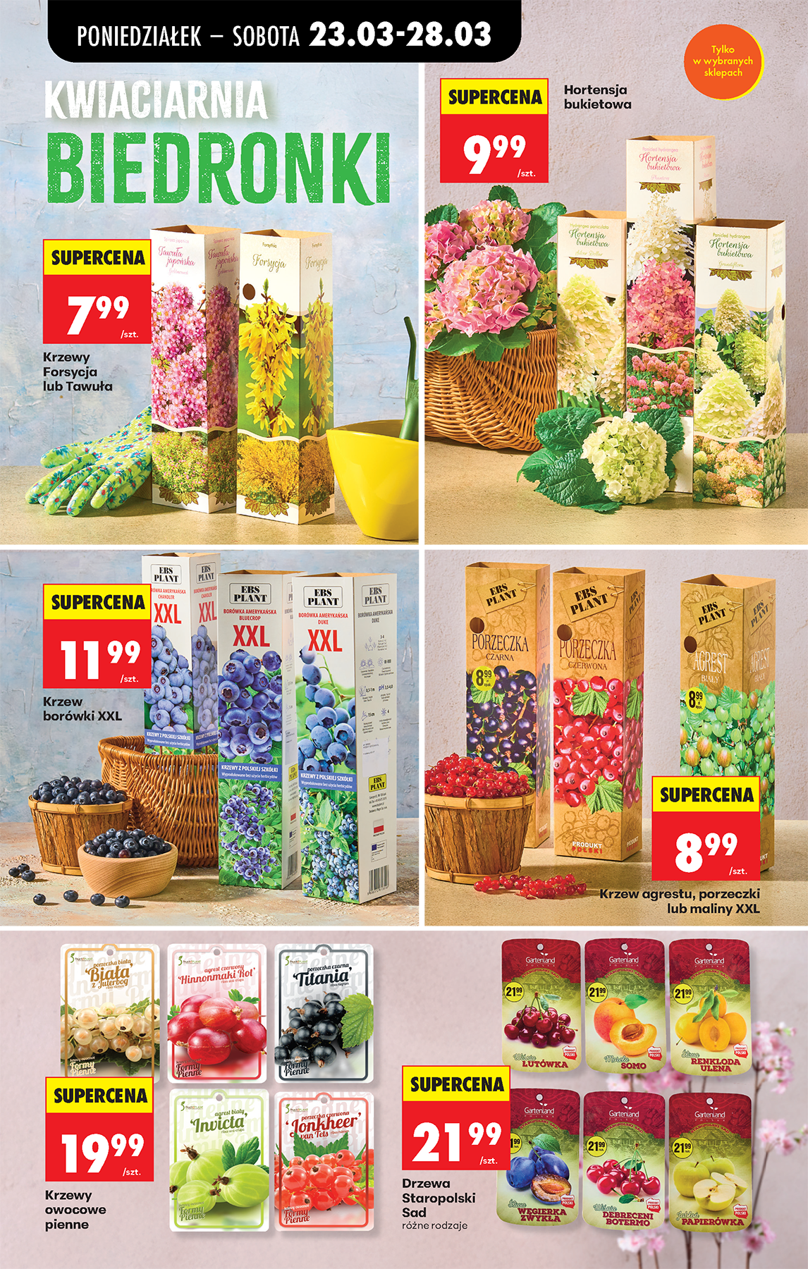 Strona https://images.biedronka.cloud/api/v1/cdn-cgi/r2/leaflet-prod/images/2026_ROK/2026_FOOD/2026_FOOD_T13/2026_FOOD_T13A/2026_FOOD_T13A_PODSTAWA_/2026_FOOD_T13_A_PODSTAWA_P74_f4jvnvvcwn.png