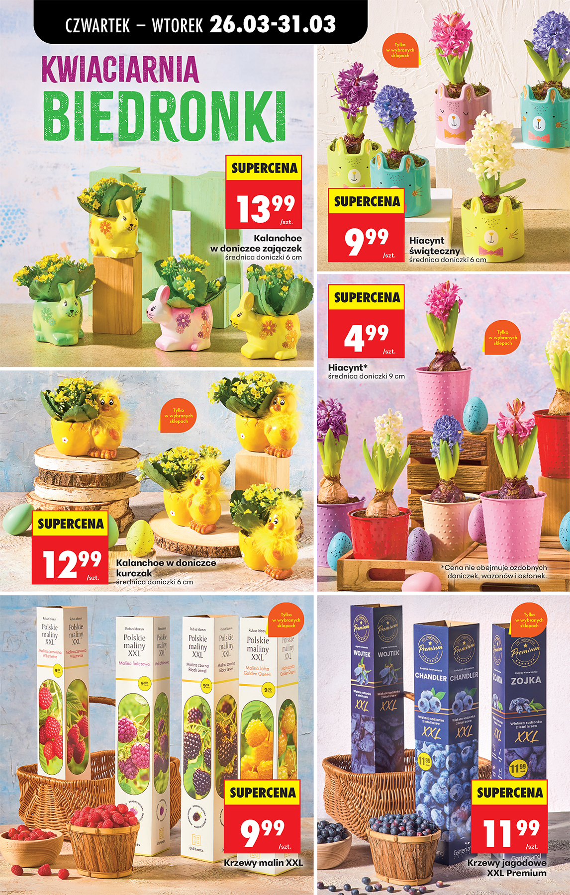 Strona https://images.biedronka.cloud/api/v1/cdn-cgi/r2/leaflet-prod/images/2026_ROK/2026_FOOD/2026_FOOD_T13/2026_FOOD_T13B/2026_FOOD_T13B_PODSTAWA_/2026_FOOD_T13_B_PODSTAWA_P66_jciapzdsfd.png