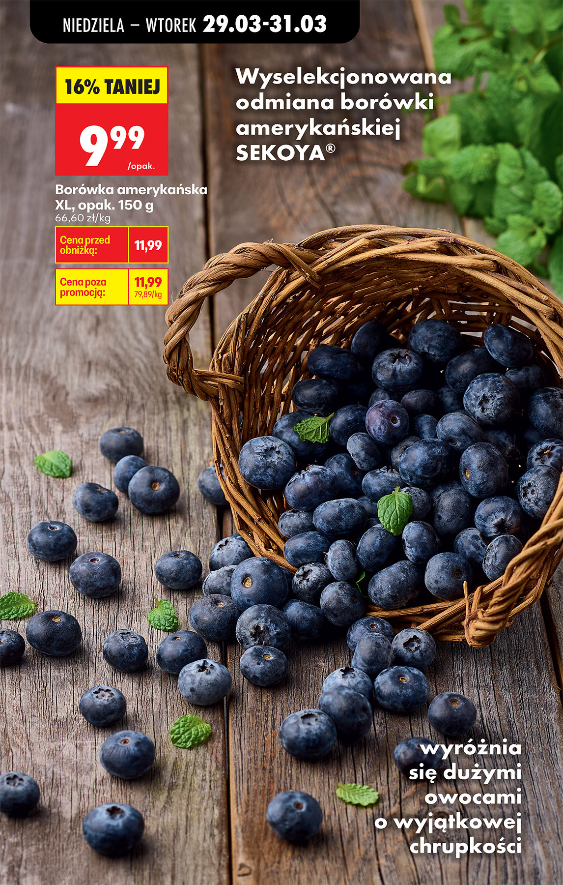 Strona https://images.biedronka.cloud/api/v1/cdn-cgi/r2/leaflet-prod/images/2026_ROK/2026_FOOD/2026_FOOD_T14/2026_FOOD_T14A/2026_FOOD_T14A_PODSTAWA_/2026_FOOD_T14_A_PODSTAWA_P85_uxodspdfre.png