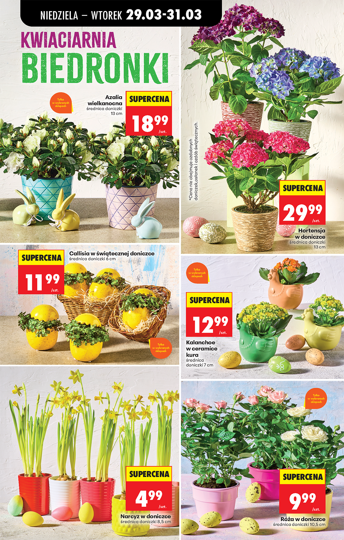 Strona https://images.biedronka.cloud/api/v1/cdn-cgi/r2/leaflet-prod/images/2026_ROK/2026_FOOD/2026_FOOD_T14/2026_FOOD_T14A/T14A_Folder_INS_169x275_ONLINE_KWIATY-2.png